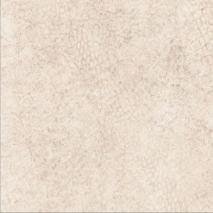 Gạch lát sàn Trường Thịnh STONE TEXTURE AP6001
